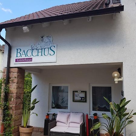 Gaestehaus Bacchus Wachenheim an der Weinstraße 외부 사진