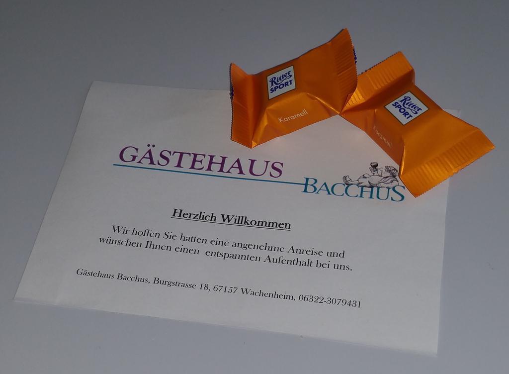 Gaestehaus Bacchus Wachenheim an der Weinstraße 외부 사진