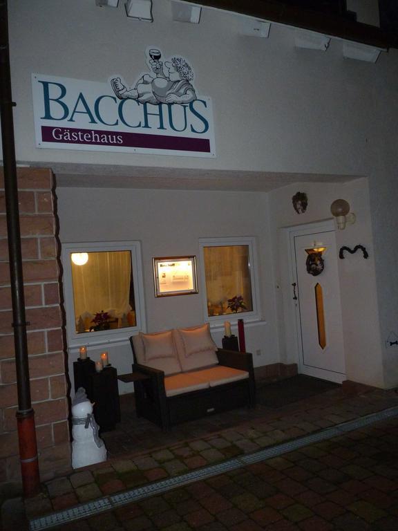 Gaestehaus Bacchus Wachenheim an der Weinstraße 외부 사진