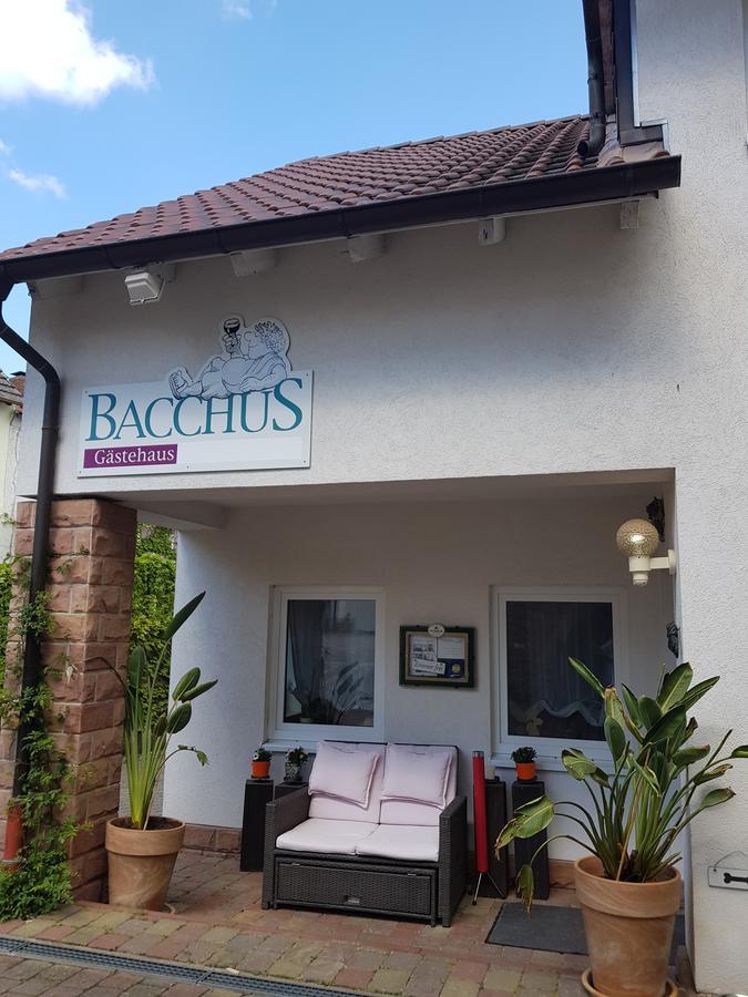 Gaestehaus Bacchus Wachenheim an der Weinstraße 외부 사진