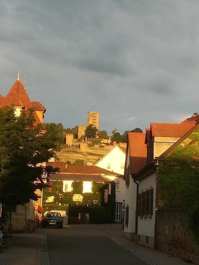 Gaestehaus Bacchus Wachenheim an der Weinstraße 외부 사진